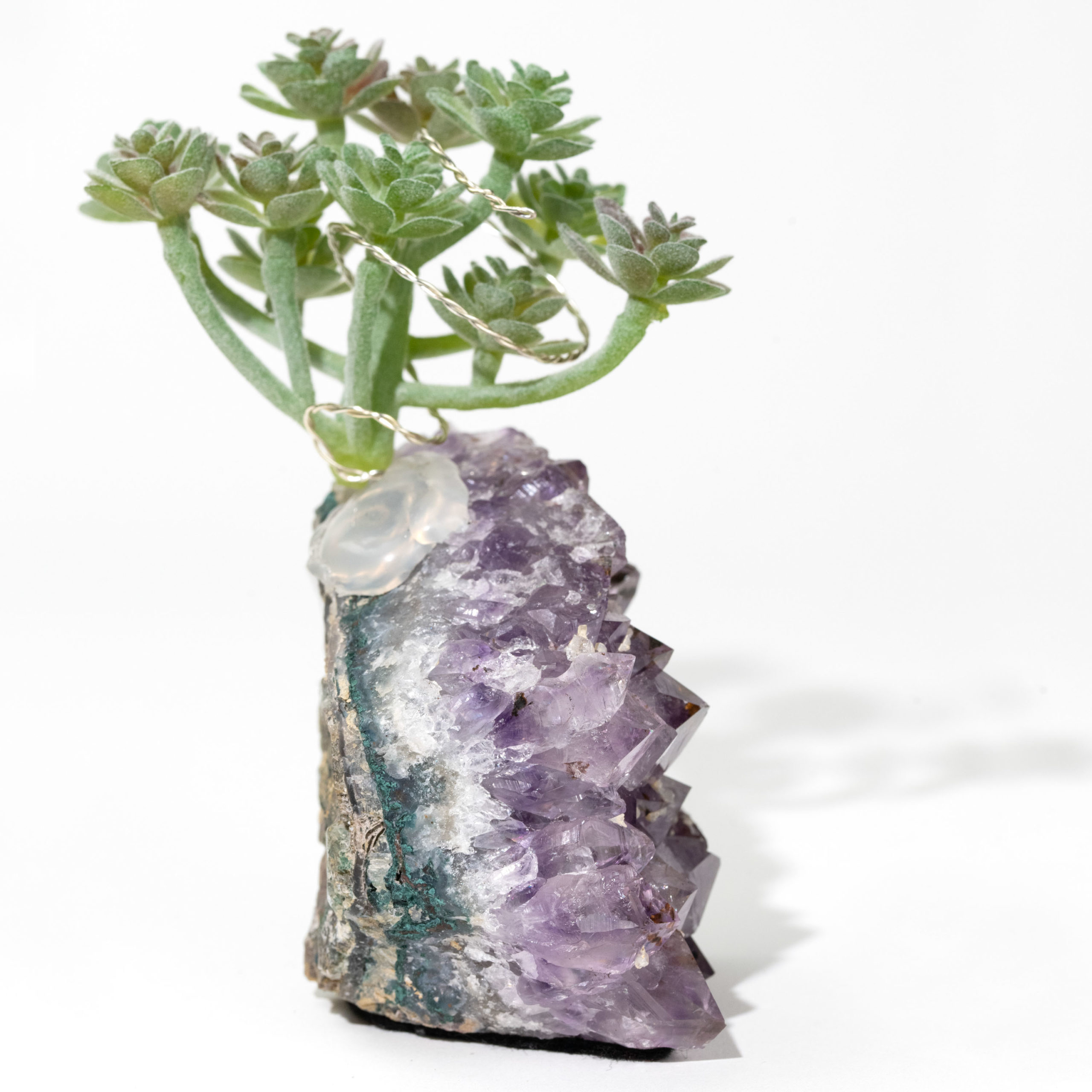 Amethyst Cluster with Faux Succulent